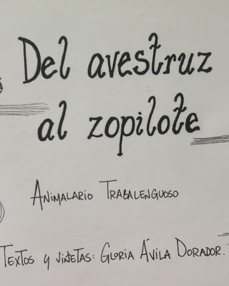 Del Avestruz al Zopilote: Ávila Dorador, Gloria