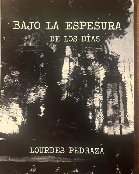 Bajo la espesura de los días: Pedraza, Lourdes.