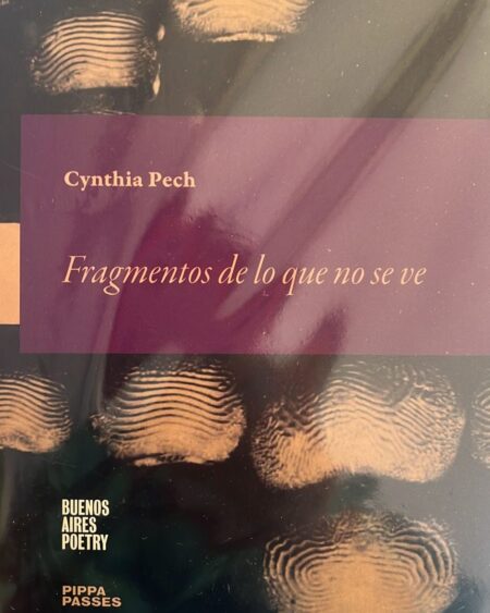 Fragmentos de lo que no se ve: Pech, Cynthia.