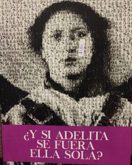 Y si Adelita se fuera ella sola? : Gutiérrez Aviles, Rebeca.